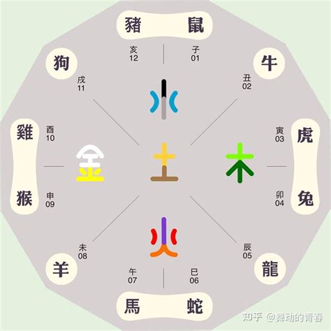 屬龍 五行|生肖屬龍人的五行與財運